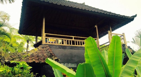 Bali Mountain Retreat image 14