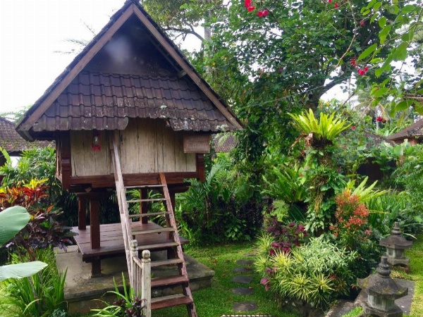 Bali Mountain Retreat image 15