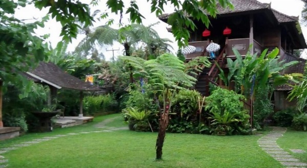 Bali Mountain Retreat image 2