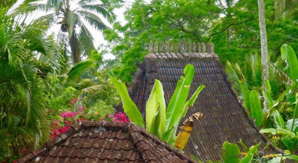 Bali Mountain Retreat image 20