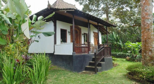 Bali Mountain Retreat image 21