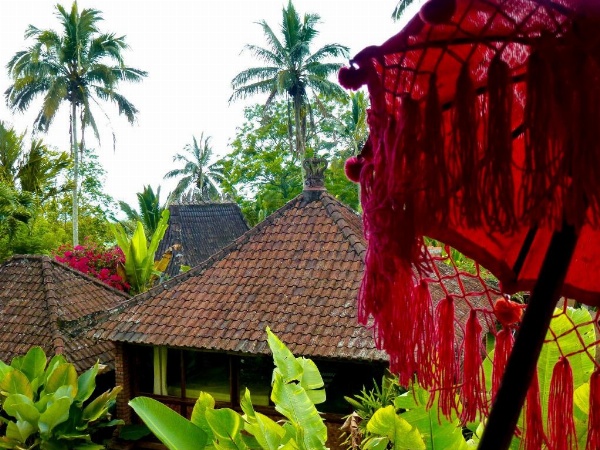 Bali Mountain Retreat image 24