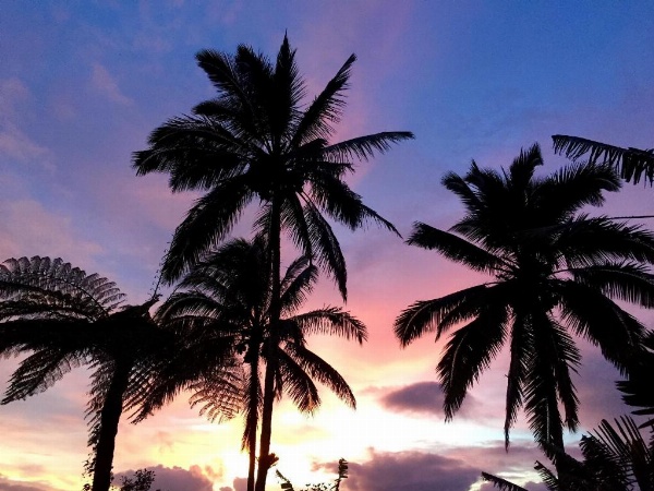 Bali Mountain Retreat image 29