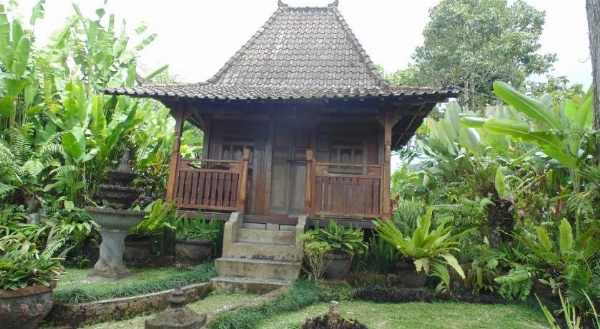 Bali Mountain Retreat image 5