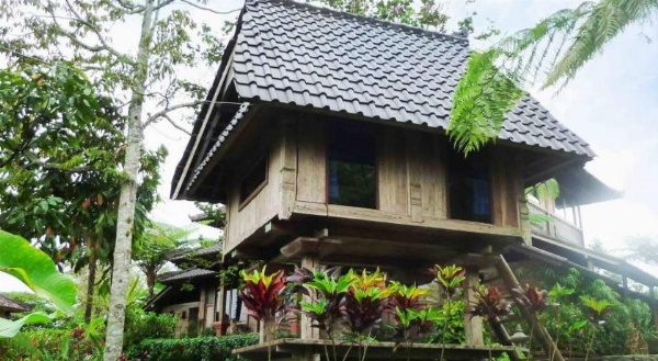 Bali Mountain Retreat image 8